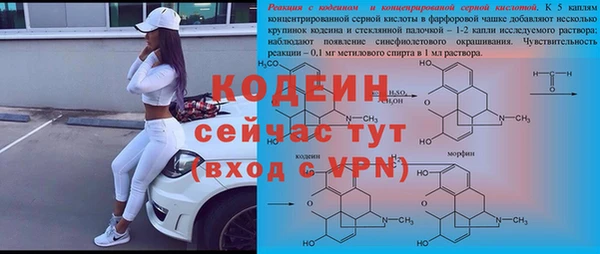 ГАЛЛЮЦИНОГЕННЫЕ ГРИБЫ Абаза