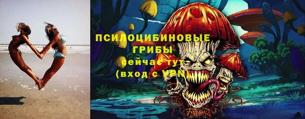 ГАЛЛЮЦИНОГЕННЫЕ ГРИБЫ Абаза