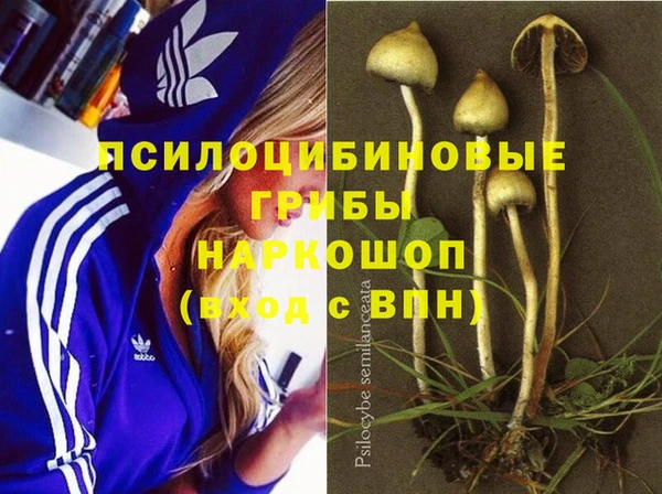 ГАЛЛЮЦИНОГЕННЫЕ ГРИБЫ Абаза