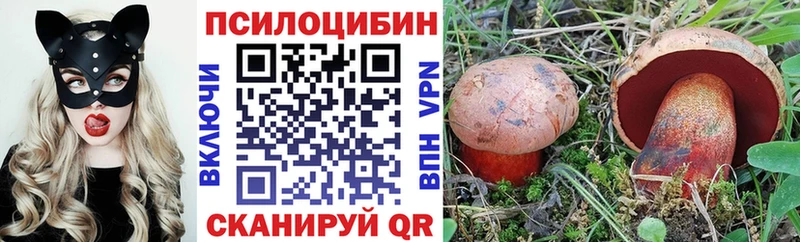 Галлюциногенные грибы мухоморы  blacksprut зеркало  Нахабино  цена наркотик 